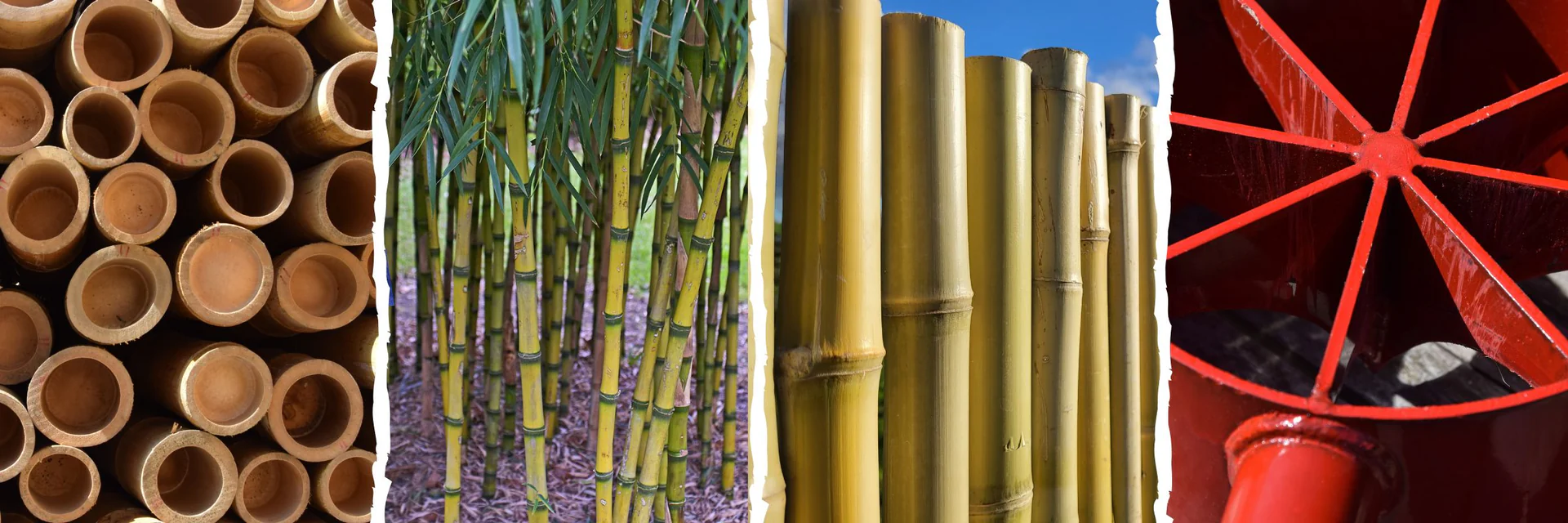 Welcome to Our Store